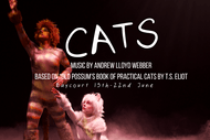 Image for event: CATS the Musical