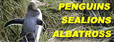 Elm Wildlife Tours