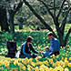 Relaxing Activities, New Zealand