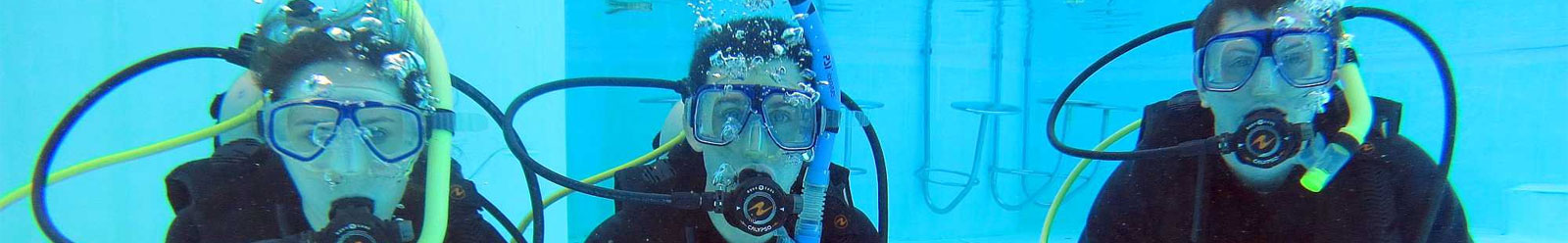 Diving in New Zealand