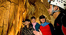 Nature Tours