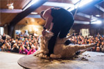 Image of AGRODOME - Rotorua