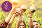 Apline Wine Tours Logo