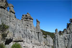 Image of Aorangi Forest Park - Off the beaten track