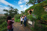 A Cheeky Kiwi Travel Tour to Hobbiton