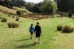 Image of PACKHORSE HUT TRACK - Banks Peninsula