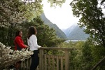 Image of MILFORD SOUND LOOKOUT TRACK - Milford Sound