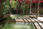 Image of Morere Hot Springs - Off the beaten track