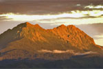 Image of Mount Hikurangi - Off the beaten track