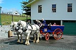 Visit Website of CARRIAGE HOUSE - Kerikeri, Bay of Islands Horse and carriage outside The Carriage House