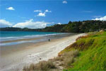 Image of WAIHEKE LOCAL - Waiheke Island