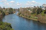 Waikato, New Zealand